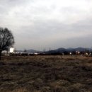 두물머리 약국 이미지