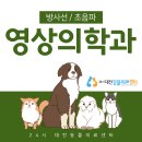 24시언제나동물병원 네이버블로그