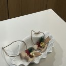 리오피부