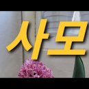 신숙 - 사모 / 나훈아, 영은 이미지