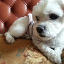 아이티즈 이미지