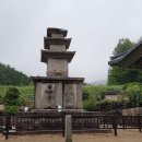 수다원