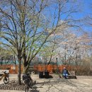 그레이핏 이미지