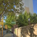 광남유치원 이미지