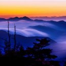 지리산거북이산장식당 네이버블로그