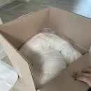 포글 댕굴하우스 강아지집 방석 하우스+방석 내돈내산 후기