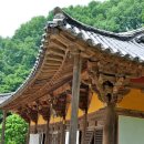 신정고등학교 이미지