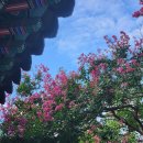 정자나무공원 이미지