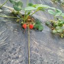 산들바농장 이미지