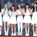 위키미키 카카오 검색결과