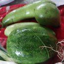 정성야채 이미지