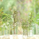 맑은눈사랑안경 이미지