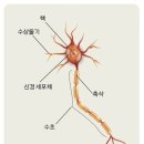 허원에너지 네이버블로그