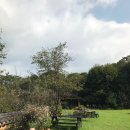 아원산방 이미지