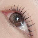 더라인네일 이미지