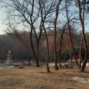 대흥부동산중개사무소 이미지