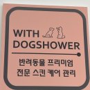 룰루멍 | 🐶 장호원 강아지 미용 룰루멍, 진짜 여기 아니면 안 가요 (내돈내산 단골 후기)