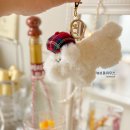 봉주르독 이미지