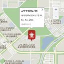 왕대박과일야채
