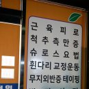 초원체형관리