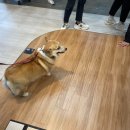 (주)한솔라이프 이미지