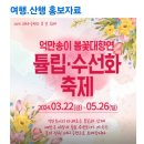 원정여행/ 4월16일(화)개심사 왕벗꽃,청벗꽃&튤립,수선화축제 이미지