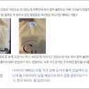 코코블랑, 여성의류쇼핑몰이 브랜딩 하는법