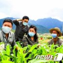 증산성 농장 뉴스1