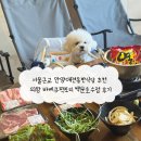 의일로 | 서울근교 안양애견동반식당 추천 의왕 바베큐팩토리 백운호수점 후기