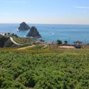 이기대공원(공룡발자국 앞) 이미지