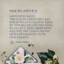 마음을 담은 편지쓰기 이미지