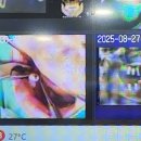 행복을 주는 치과 | 홍제동 임플란트 추천 어금니10개 내돈내산 후기 (치과보험 혜택받기)