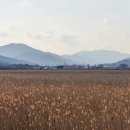 소설 태백산맥 문학기행길 이미지