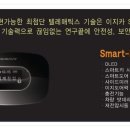 이지카모터스