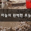 성구농장 이미지