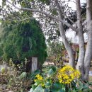 물댄동산 통나무펜션 이미지