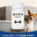 수수하개 이미지