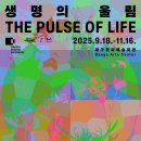 울림어린이공원 | 2025 대구 사진비엔날레 [생명의 울림] 주만교회 예배 후 전시 관람 후기