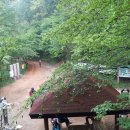 비래초교 이미지