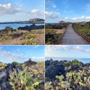 큰엉(남원관광지구) 이미지