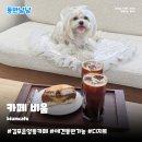 비움커피 | 김포운양동카페 비움 | 애견동반가능 디저트 베이글 커피 내돈내산 솔직후기