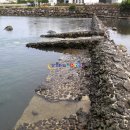 유수암리 산새미오름방묘 이미지