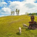 하늘소리목장 이미지