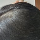 영이유 | 청미정 흑곡샴푸 내돈내산 후기 올리브영 인기샴푸 이유