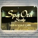 미사대로 | 미사대로 두피탈모케어, 보그헤어 신세계백화점 하남점 디톡스두피케어 1시간 30분 후기