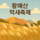 황매산 억새축제 이미지