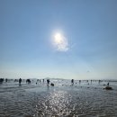 다대포낙조분수 공중전화기 옆 | 🌊【부산 다대포 낙조분수 &amp; 해수욕장】 아이들과 여름날 신나게 물놀이한 후기💦