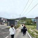 맨션자두 민박 이미지