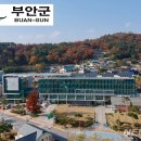 행안면사무소 이미지