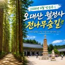 도깨비찻집 | 전나무 숲길 주차장 요금과 힐링 산책 코스 강원도 평창 가볼 만한 곳 방문 후기 총정리 (2026년 6월 방문)